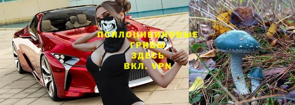 кокаин перу Горняк