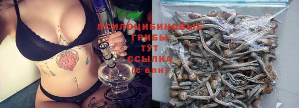 гидропоника Дмитровск