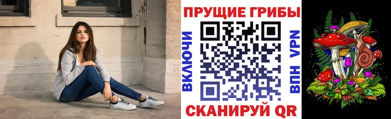 мега маркетплейс  Дивногорск  Псилоцибиновые грибы мицелий 